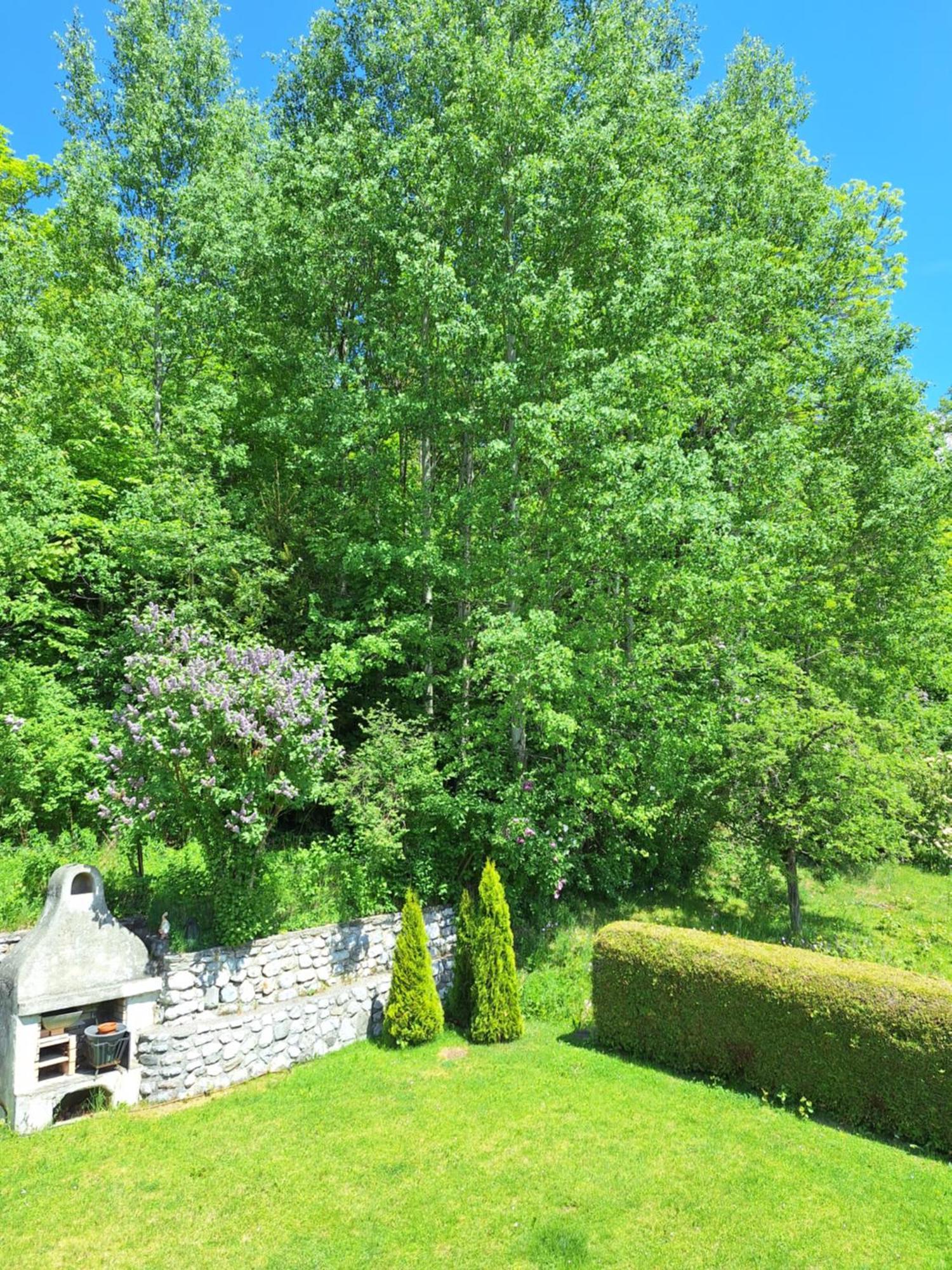 Haus Christine Lägenhet Mieders Exteriör bild